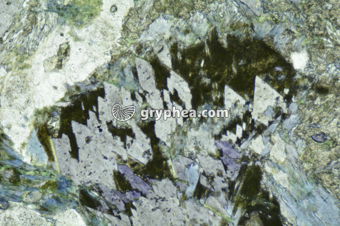 Glaucophane LPNA x25 - gryphea.com